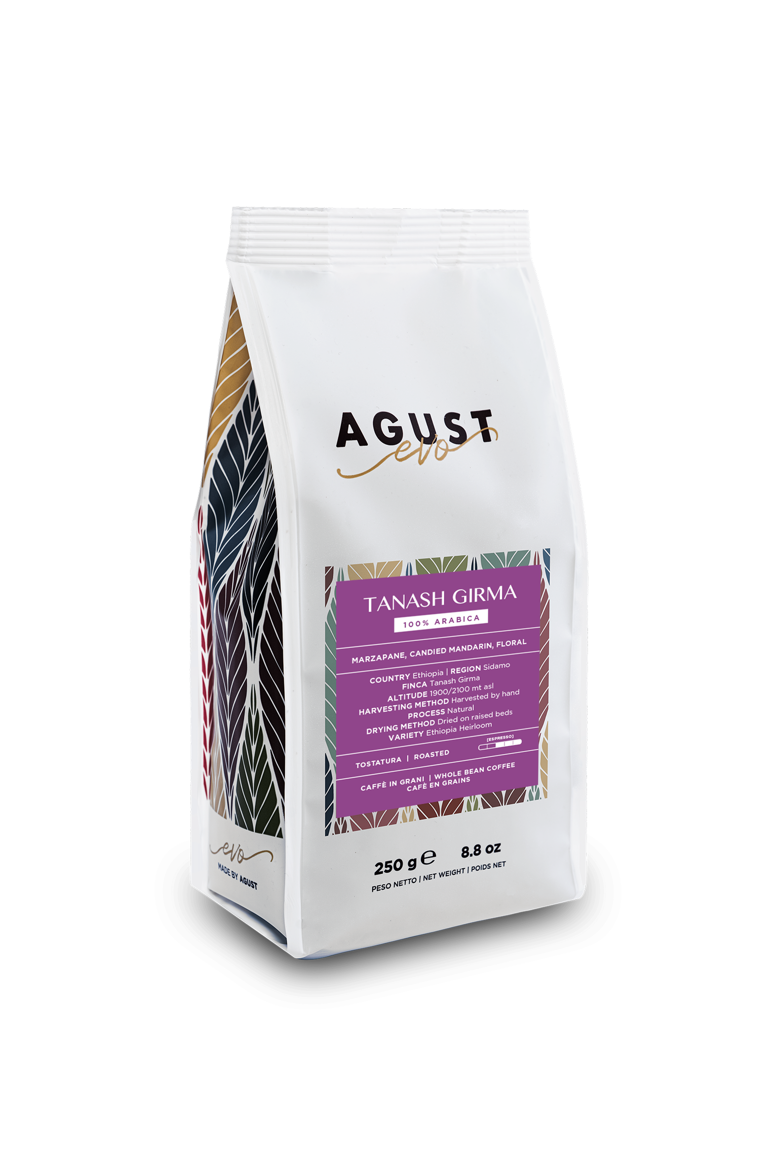 Tanash Girma – Etiopia